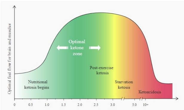 ketogen