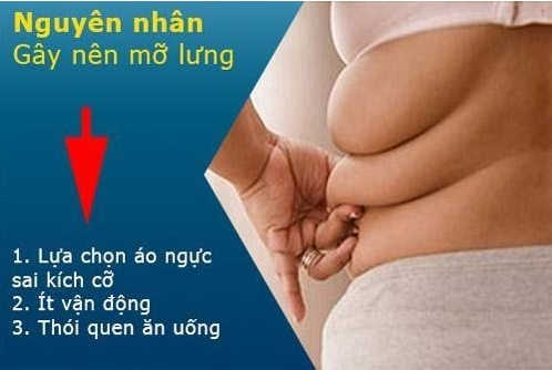 Giảm Mỡ Lưng