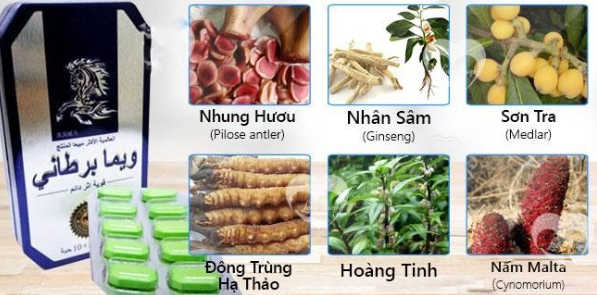 Cường Dương Ngựa Thái