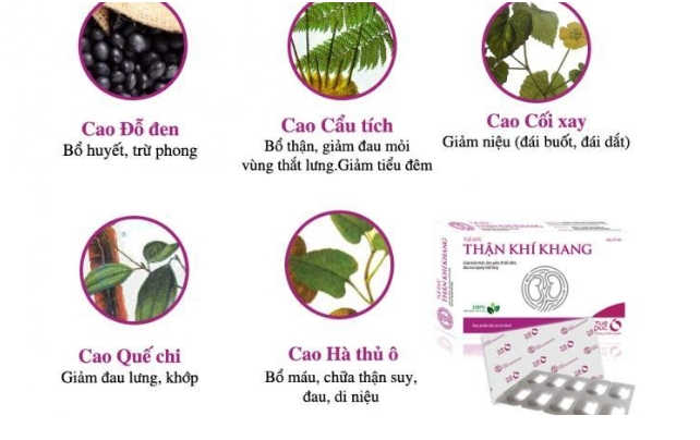 Thận Khí Khang Có Tốt Thật, Công Dụng, Giá Bán, Mua Ở Đâu