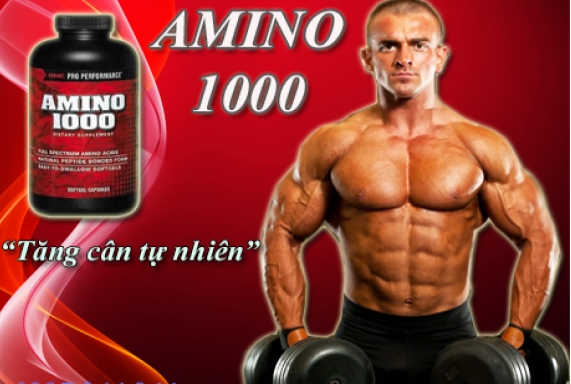 amino 1000